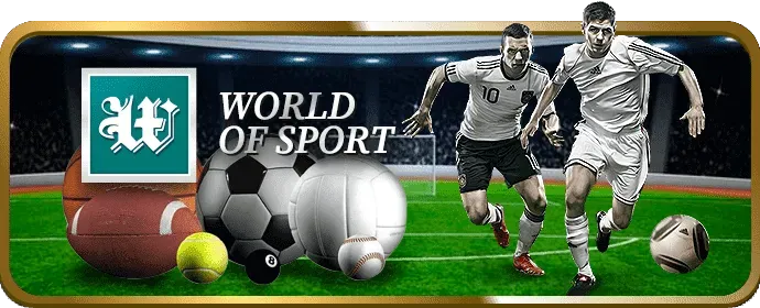 Biểu tượng cấp độ Đồng VIP 88net chính thức